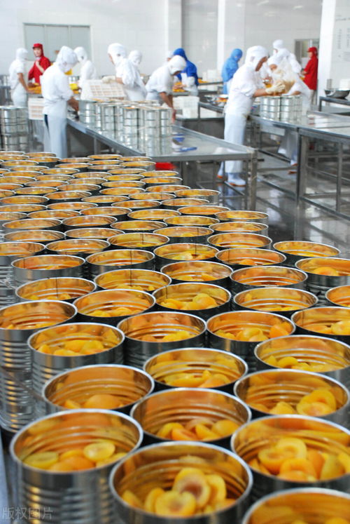 某罐頭廠食品加工廢水COD超標(biāo)原因分析及治理對策——以水果配送環(huán)節(jié)為切入點(diǎn)